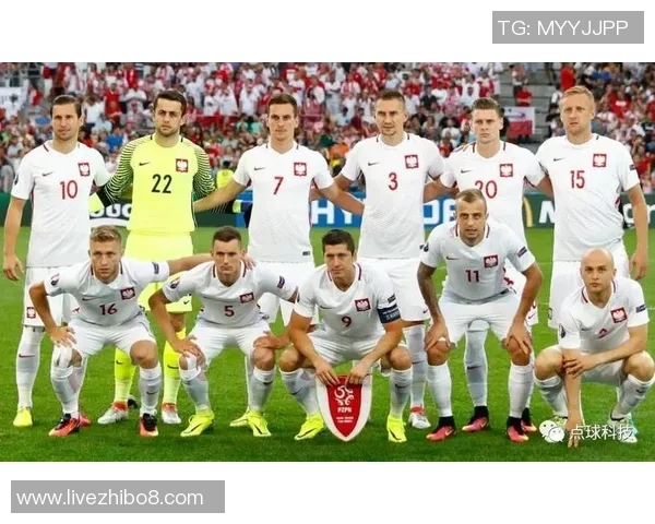 世预赛丹麦与波兰对决前瞻分析及双方阵容预测