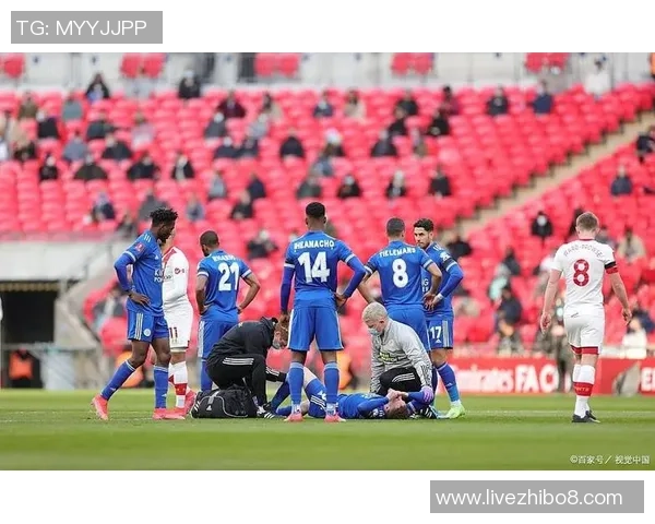 惠灵顿凤凰迎战墨尔本城全力争胜激战即将上演